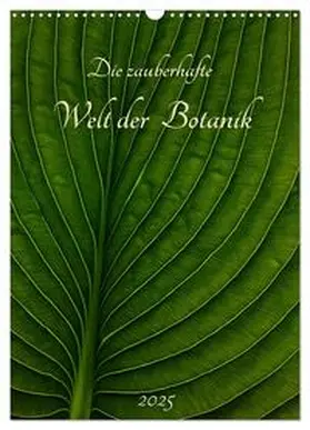 CALVENDO / Pohl |  Die zauberhafte Welt der Botanik (Wandkalender 2025 DIN A3 hoch), CALVENDO Monatskalender | Sonstiges |  Sack Fachmedien