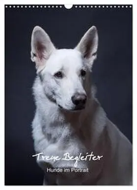 Stark / CALVENDO |  Treue Wegbegleiter, Hunde im Portrait. (Wandkalender 2025 DIN A3 hoch), CALVENDO Monatskalender | Sonstiges |  Sack Fachmedien