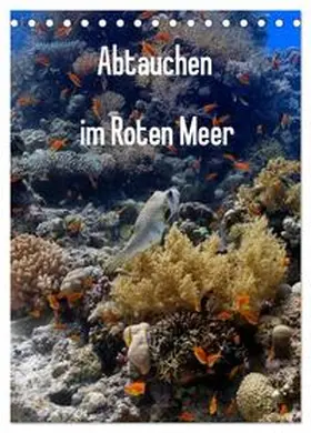 CALVENDO / Eberschulz |  Abtauchen im Roten Meer (Tischkalender 2025 DIN A5 hoch), CALVENDO Monatskalender | Sonstiges |  Sack Fachmedien
