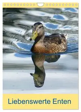 CALVENDO / Kattobello | Liebenswerte Enten (Wandkalender 2025 DIN A4 hoch), CALVENDO Monatskalender | Sonstiges | 978-3-457-01141-6 | www.sack.de