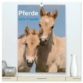CALVENDO / Bölts |  Pferde Gute Freunde (hochwertiger Premium Wandkalender 2025 DIN A2 hoch), Kunstdruck in Hochglanz | Sonstiges |  Sack Fachmedien