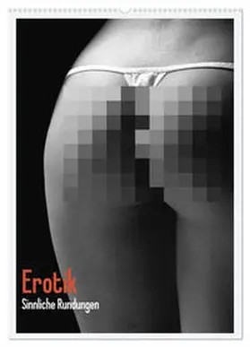 CALVENDO / Stanzer |  Erotik. Sinnliche Rundungen (Wandkalender 2025 DIN A2 hoch), CALVENDO Monatskalender | Sonstiges |  Sack Fachmedien