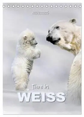 CALVENDO / Schmidbauer | Tiere in Weiß (Tischkalender 2025 DIN A5 hoch), CALVENDO Monatskalender | Sonstiges | 978-3-457-01259-8 | www.sack.de