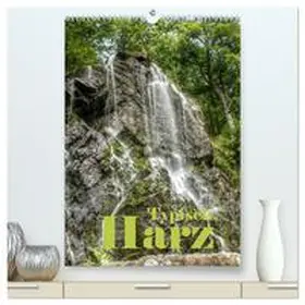 CALVENDO / Weiß |  Typisch Harz (hochwertiger Premium Wandkalender 2025 DIN A2 hoch), Kunstdruck in Hochglanz | Sonstiges |  Sack Fachmedien