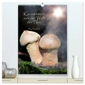 CALVENDO / Schmidbauer |  Kuriositäten aus der Welt der Pilze (hochwertiger Premium Wandkalender 2025 DIN A2 hoch), Kunstdruck in Hochglanz | Sonstiges |  Sack Fachmedien