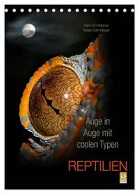CALVENDO / Schmidbauer |  Auge in Auge mit coolen Typen - REPTILIEN (Tischkalender 2025 DIN A5 hoch), CALVENDO Monatskalender | Sonstiges |  Sack Fachmedien