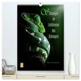 CALVENDO / Schmidbauer |  Schlangen im Lichtfenster des Dschungels (hochwertiger Premium Wandkalender 2025 DIN A2 hoch), Kunstdruck in Hochglanz | Sonstiges |  Sack Fachmedien