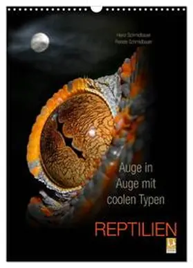 CALVENDO / Schmidbauer |  Auge in Auge mit coolen Typen - REPTILIEN (Wandkalender 2025 DIN A3 hoch), CALVENDO Monatskalender | Sonstiges |  Sack Fachmedien