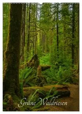 CALVENDO / Metzke |  Grüne Waldriesen / 2025 (Wandkalender 2025 DIN A2 hoch), CALVENDO Monatskalender | Sonstiges |  Sack Fachmedien