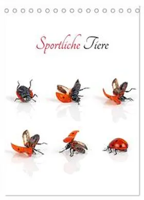 CALVENDO / Eppele |  Sportliche Tiere (Tischkalender 2025 DIN A5 hoch), CALVENDO Monatskalender | Sonstiges |  Sack Fachmedien