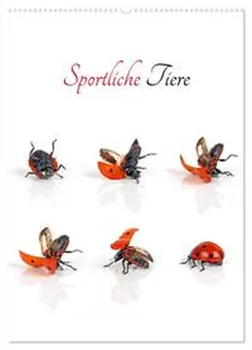 CALVENDO / Eppele |  Sportliche Tiere (Wandkalender 2025 DIN A2 hoch), CALVENDO Monatskalender | Sonstiges |  Sack Fachmedien