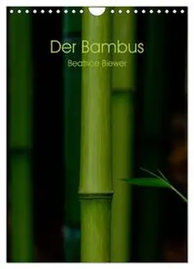 CALVENDO / Biewer |  Der Bambus (Wandkalender 2025 DIN A4 hoch), CALVENDO Monatskalender | Sonstiges |  Sack Fachmedien