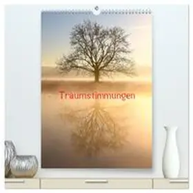 CALVENDO / Kaiser |  Traumstimmungen (hochwertiger Premium Wandkalender 2025 DIN A2 hoch), Kunstdruck in Hochglanz | Sonstiges |  Sack Fachmedien