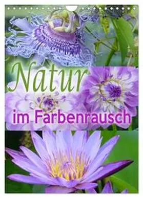 CALVENDO / B-B Müller |  Natur im Farbenrausch (Wandkalender 2025 DIN A4 hoch), CALVENDO Monatskalender | Sonstiges |  Sack Fachmedien