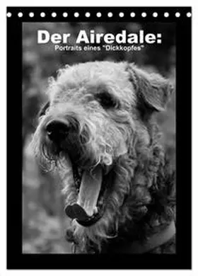 CALVENDO / Rottmann |  Der Airedale: Portraits eines "Dickkopfes" (Tischkalender 2025 DIN A5 hoch), CALVENDO Monatskalender | Sonstiges |  Sack Fachmedien