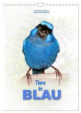CALVENDO / Schmidbauer |  Tiere in Blau (Wandkalender 2025 DIN A4 hoch), CALVENDO Monatskalender | Sonstiges |  Sack Fachmedien