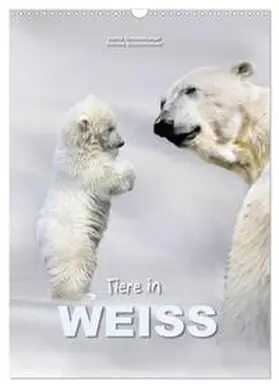 CALVENDO / Schmidbauer |  Tiere in Weiß (Wandkalender 2025 DIN A3 hoch), CALVENDO Monatskalender | Sonstiges |  Sack Fachmedien