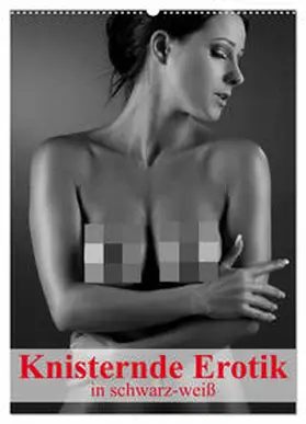CALVENDO / Stanzer |  Knisternde Erotik in schwarz-weiß (Wandkalender 2025 DIN A2 hoch), CALVENDO Monatskalender | Sonstiges |  Sack Fachmedien