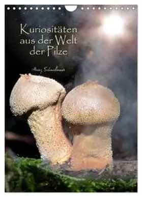 CALVENDO / Schmidbauer |  Kuriositäten aus der Welt der Pilze (Wandkalender 2025 DIN A4 hoch), CALVENDO Monatskalender | Sonstiges |  Sack Fachmedien