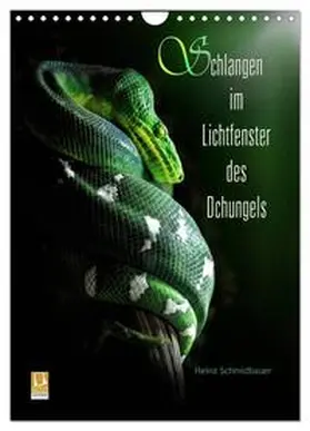 CALVENDO / Schmidbauer |  Schlangen im Lichtfenster des Dschungels (Wandkalender 2025 DIN A4 hoch), CALVENDO Monatskalender | Sonstiges |  Sack Fachmedien