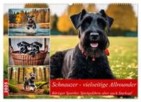CALVENDO / Kleemann |  Schnauzer - vielseitige Allrounder (Wandkalender 2025 DIN A2 quer), CALVENDO Monatskalender | Sonstiges |  Sack Fachmedien