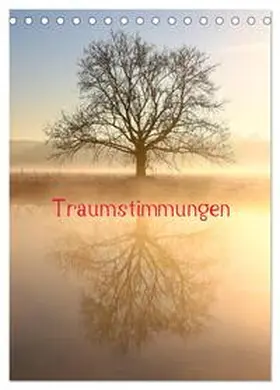 CALVENDO / Kaiser |  Traumstimmungen (Tischkalender 2025 DIN A5 hoch), CALVENDO Monatskalender | Sonstiges |  Sack Fachmedien