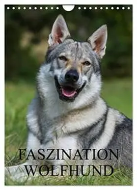 CALVENDO / Starick |  Faszination Wolfhund (Wandkalender 2025 DIN A4 hoch), CALVENDO Monatskalender | Sonstiges |  Sack Fachmedien