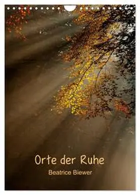 CALVENDO / Biewer |  Orte der Ruhe (Wandkalender 2025 DIN A4 hoch), CALVENDO Monatskalender | Sonstiges |  Sack Fachmedien