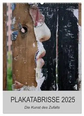 CALVENDO / Stolzenburg |  Plakatabrisse 2025 - Die Kunst des Zufalls / Planer (Wandkalender 2025 DIN A2 hoch), CALVENDO Monatskalender | Sonstiges |  Sack Fachmedien