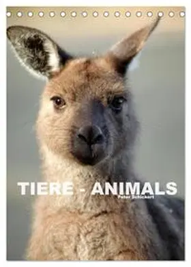CALVENDO / Schickert |  Tiere - Animals (Tischkalender 2025 DIN A5 hoch), CALVENDO Monatskalender | Sonstiges |  Sack Fachmedien