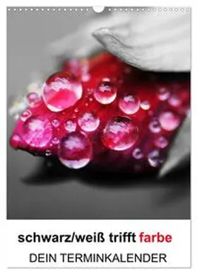 CALVENDO / Kaden |  schwarz/weiß trifft farbe - DEIN TERMINKALENDER / Planer (Wandkalender 2025 DIN A3 hoch), CALVENDO Monatskalender | Sonstiges |  Sack Fachmedien
