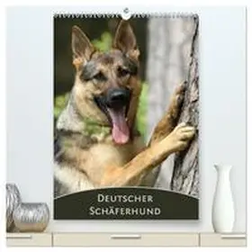 CALVENDO / Steininger |  Deutscher Schäferhund (hochwertiger Premium Wandkalender 2025 DIN A2 hoch), Kunstdruck in Hochglanz | Sonstiges |  Sack Fachmedien