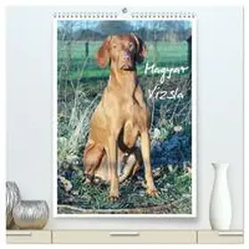 CALVENDO / Mielewczyk |  Magyar Vizsla (hochwertiger Premium Wandkalender 2025 DIN A2 hoch), Kunstdruck in Hochglanz | Sonstiges |  Sack Fachmedien