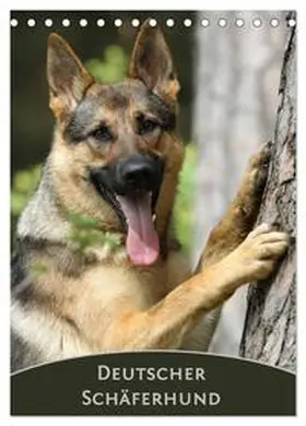 CALVENDO / Steininger |  Deutscher Schäferhund (Tischkalender 2025 DIN A5 hoch), CALVENDO Monatskalender | Sonstiges |  Sack Fachmedien