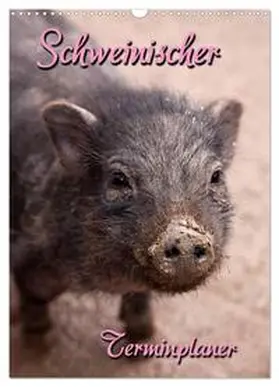 CALVENDO / Berg | Schweinischer Terminplaner (Wandkalender 2025 DIN A3 hoch), CALVENDO Monatskalender | Sonstiges | 978-3-457-07691-0 | www.sack.de