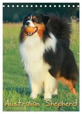 CALVENDO / Mielewczyk |  Australian Shepherd (Tischkalender 2025 DIN A5 hoch), CALVENDO Monatskalender | Sonstiges |  Sack Fachmedien