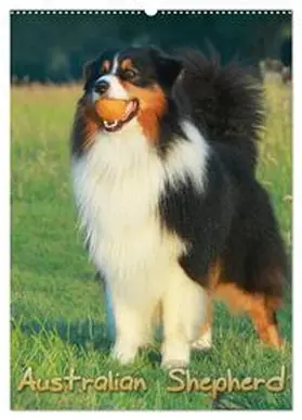 CALVENDO / Mielewczyk |  Australian Shepherd (Wandkalender 2025 DIN A2 hoch), CALVENDO Monatskalender | Sonstiges |  Sack Fachmedien
