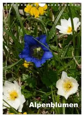 CALVENDO / Haas |  Alpenblumen (Wandkalender 2025 DIN A4 hoch), CALVENDO Monatskalender | Sonstiges |  Sack Fachmedien
