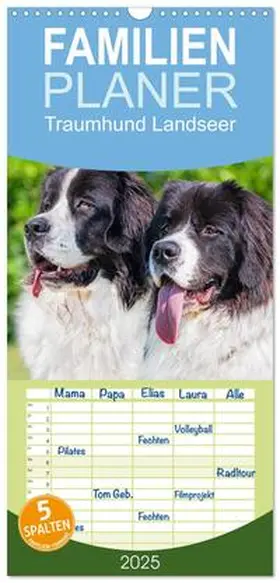 CALVENDO / Starick |  Familienplaner 2025 - Traumhund Landseer mit 5 Spalten (Wandkalender, 21 x 45 cm) CALVENDO | Sonstiges |  Sack Fachmedien