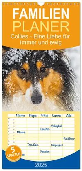 CALVENDO / Starick |  Familienplaner 2025 - Collies - Eine Liebe für immer und ewig mit 5 Spalten (Wandkalender, 21 x 45 cm) CALVENDO | Sonstiges |  Sack Fachmedien