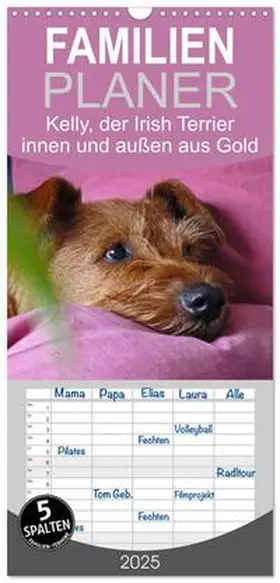 CALVENDO / Schimon |  Familienplaner 2025 - Kelly, der Irish Terrier - innen und außen aus Gold mit 5 Spalten (Wandkalender, 21 x 45 cm) CALVENDO | Sonstiges |  Sack Fachmedien