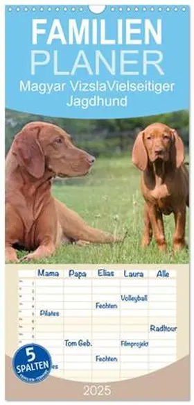CALVENDO / Mielewczyk |  Familienplaner 2025 - Magyar Vizsla - Vielseitiger Jagdhund mit 5 Spalten (Wandkalender, 21 x 45 cm) CALVENDO | Sonstiges |  Sack Fachmedien