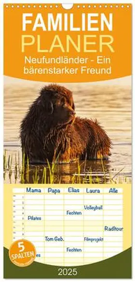 CALVENDO / Starick |  Familienplaner 2025 - Neufundländer - Ein bärenstarker Freund mit 5 Spalten (Wandkalender, 21 x 45 cm) CALVENDO | Sonstiges |  Sack Fachmedien