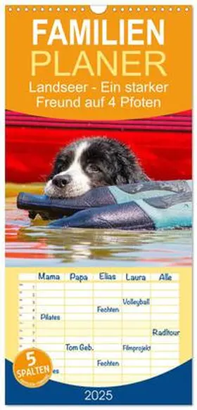 CALVENDO / Starick |  Familienplaner 2025 - Landseer - Ein starker Freund auf 4 Pfoten mit 5 Spalten (Wandkalender, 21 x 45 cm) CALVENDO | Sonstiges |  Sack Fachmedien