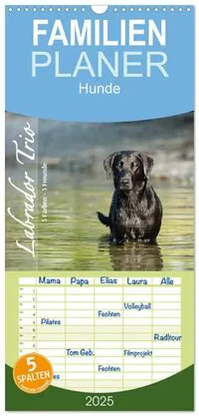 Strunz / CALVENDO |  Familienplaner 2025 - Labrador Trio - 3 Farben, 3 Freunde mit 5 Spalten (Wandkalender, 21 x 45 cm) CALVENDO | Sonstiges |  Sack Fachmedien