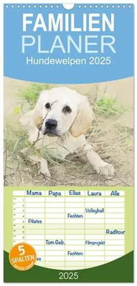 CALVENDO / Redecker | Familienplaner 2025 - Hundewelpen 2025 mit 5 Spalten (Wandkalender, 21 x 45 cm) CALVENDO | Sonstiges | 978-3-457-12117-7 | www.sack.de