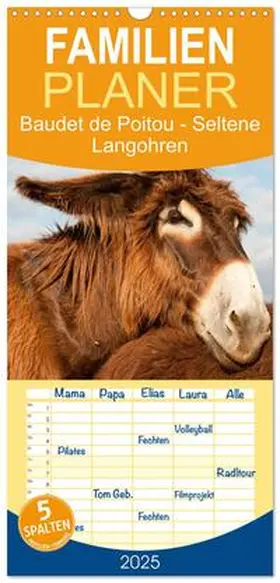 CALVENDO / Bölts |  Familienplaner 2025 - Baudet de Poitou - Seltene Langohren mit 5 Spalten (Wandkalender, 21 x 45 cm) CALVENDO | Sonstiges |  Sack Fachmedien