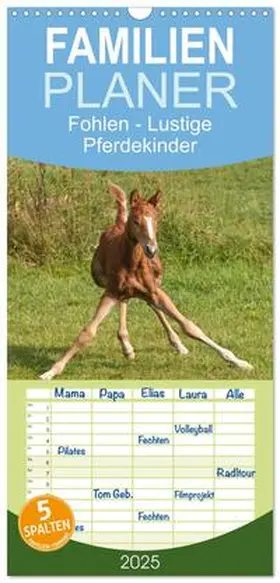 CALVENDO / Bölts |  Familienplaner 2025 - Fohlen - Lustige Pferdekinder mit 5 Spalten (Wandkalender, 21 x 45 cm) CALVENDO | Sonstiges |  Sack Fachmedien