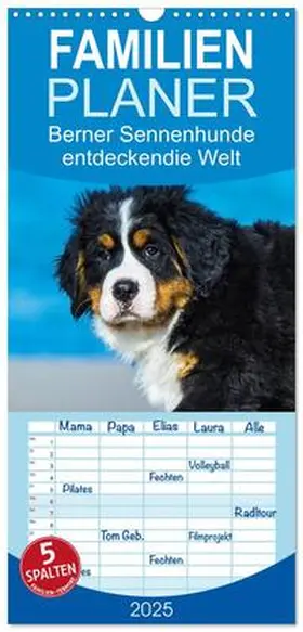 CALVENDO / Starick |  Familienplaner 2025 - Seebärchen entdecken die Welt - Berner Sennenhunde mit 5 Spalten (Wandkalender, 21 x 45 cm) CALVENDO | Sonstiges |  Sack Fachmedien