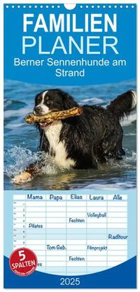 CALVENDO / Starick |  Familienplaner 2025 - Berner Sennenhunde am Strand mit 5 Spalten (Wandkalender, 21 x 45 cm) CALVENDO | Sonstiges |  Sack Fachmedien